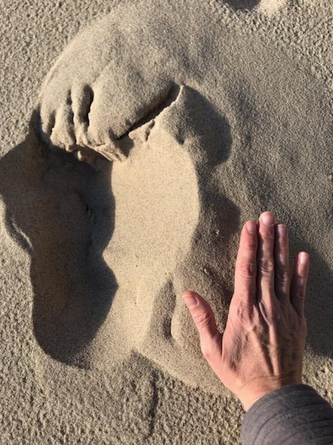 bearbuttinsand